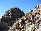 photo thumbnail #11