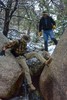 photo thumbnail #5
