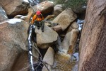 photo thumbnail #12