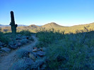 photo thumbnail #3