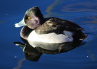 photo thumbnail #2