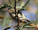 photo thumbnail #12