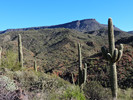 photo thumbnail #5