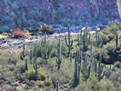 photo thumbnail #6