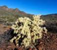 photo thumbnail #3