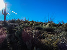 photo thumbnail #4
