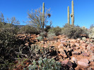 photo thumbnail #13