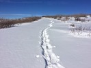 photo thumbnail #4