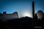 photo thumbnail #2
