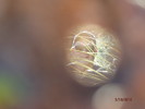 photo thumbnail #15