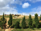 photo thumbnail #1