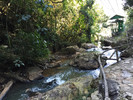 photo thumbnail #8