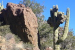 photo thumbnail #4