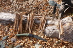 photo thumbnail #7