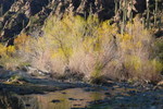 photo thumbnail #12