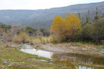photo thumbnail #13