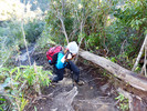 photo thumbnail #9