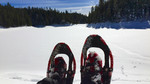 photo thumbnail #14