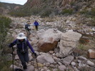 photo thumbnail #3
