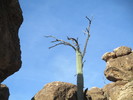 photo thumbnail #3