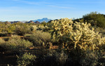 photo thumbnail #1