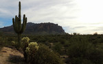 photo thumbnail #6