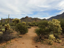 photo thumbnail #7