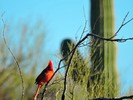 photo thumbnail #1