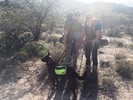 photo thumbnail #4