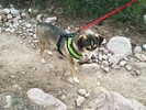 photo thumbnail #5