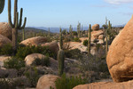 photo thumbnail #8