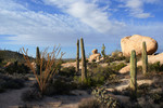 photo thumbnail #11