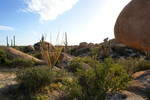 photo thumbnail #15