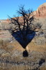 photo thumbnail #14