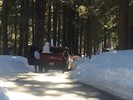 photo thumbnail #7