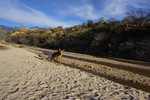 photo thumbnail #1