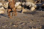photo thumbnail #2