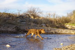 photo thumbnail #3