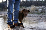 photo thumbnail #4
