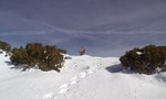 photo thumbnail #2