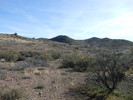 photo thumbnail #6