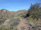 photo thumbnail #7