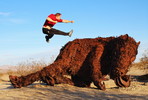 photo thumbnail #11