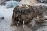 photo thumbnail #2