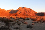 photo thumbnail #15