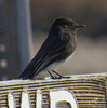 photo thumbnail #11