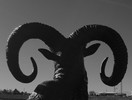 photo thumbnail #11
