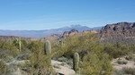 photo thumbnail #5