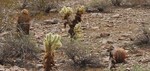 photo thumbnail #5