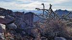 photo thumbnail #3